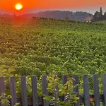 Juli Steiermark Weinstrasse Wonderful Moments Lejlighed Lebring