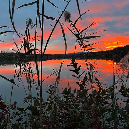 Wonderful Moments Naehe Weinstrasse شقة *