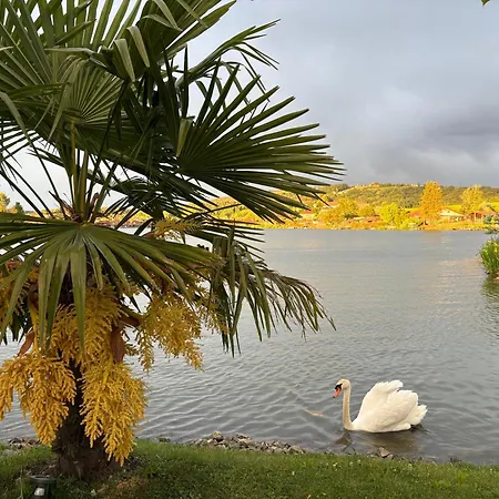 Wonderful Moments Naehe Weinstrasse شقة