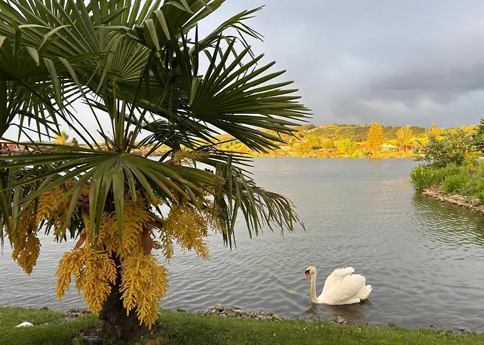 Wonderful Moments Naehe Weinstrasse شقة