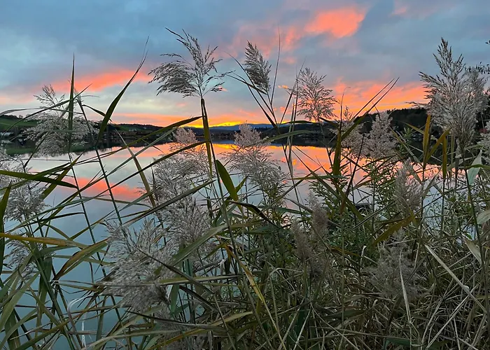 Wonderful Moments Naehe Weinstrasse شقة