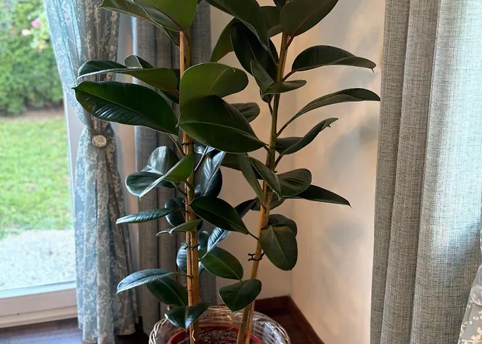 Wonderful Moments Naehe Weinstrasse Lebring