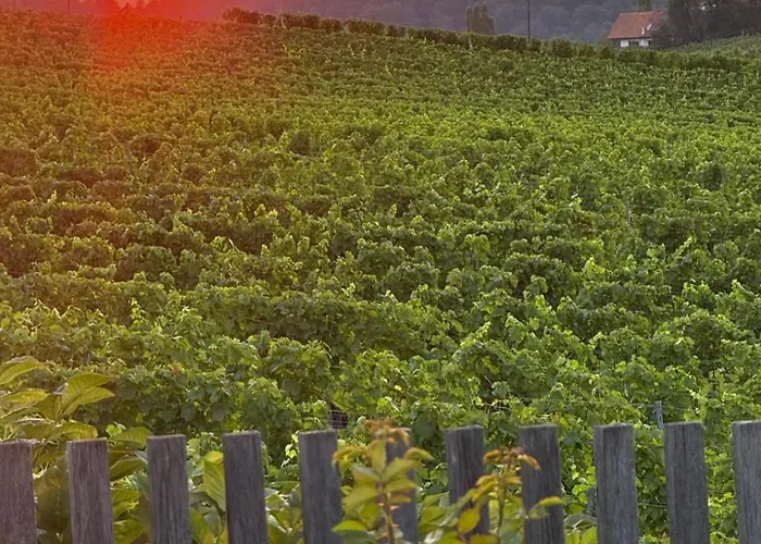 Wonderful Moments Naehe Weinstrasse شقة Lebring